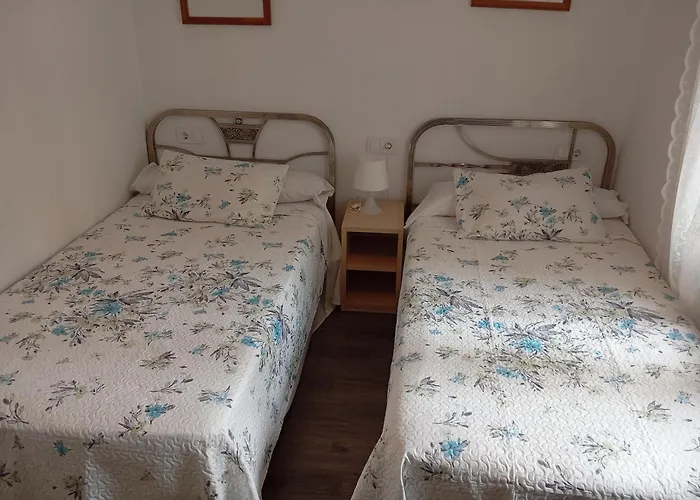 Bnap Gesta * אוביידו